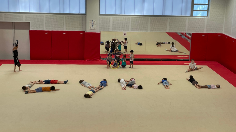 Gym Artistique Lyon Convention gymnique de Lyon